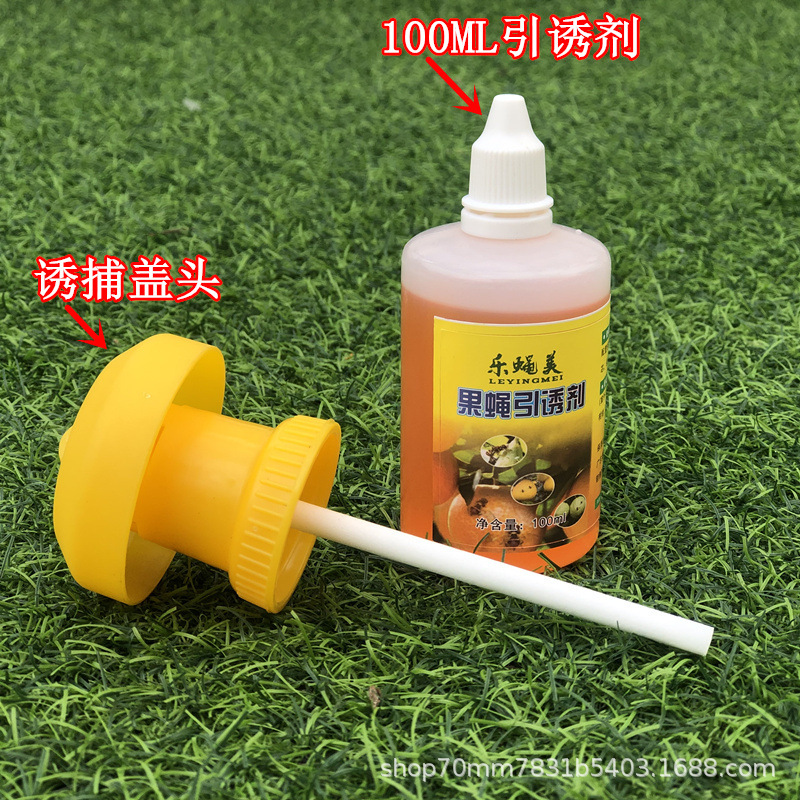 Wholesale Fruit fly trap cover with fruit fly lure use fruit fruit fly pheromone needle trap