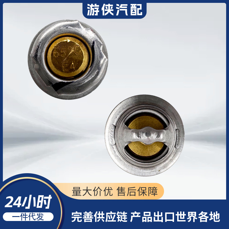 Original Thermostat Odes 21040104001 Cf 0800-022700