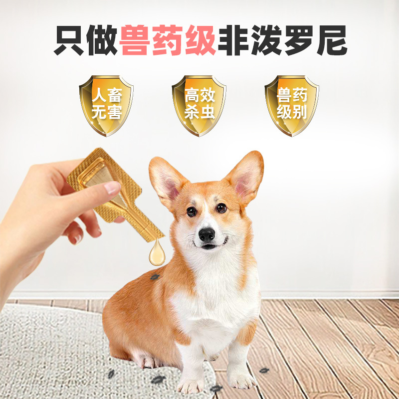 Fipronil Drops Are a Deworming Drug for Cats and Dogs, Used Externally to Kill Insects, Remove Fleas and Lice, and as an External Deworming Agent for Dogs