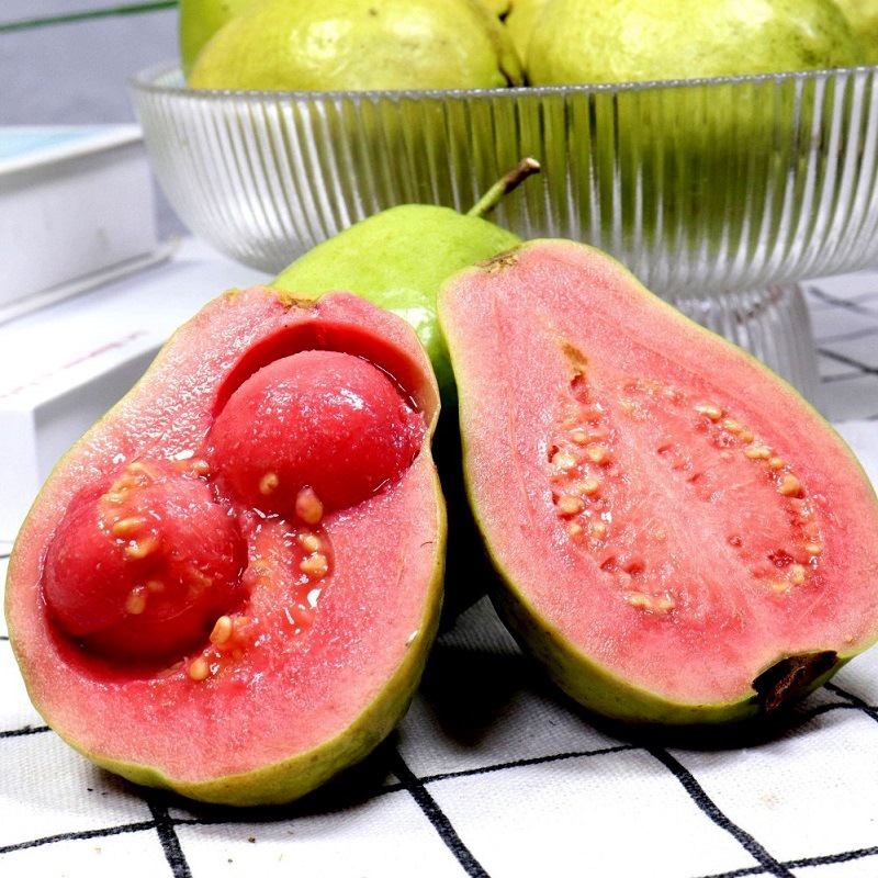 Ready-Made Quick-Release Tree-Ripened Golden Cream Guava Fruit Whole Box Red Heart Guava Large Fruit Base Direct Supply