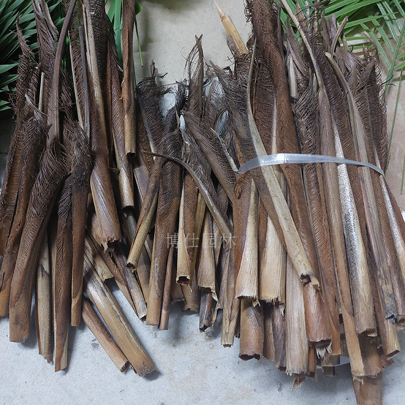 Real Tree Bark Brown Shell Artificial Green Plant Accessories Areca Palm Decorative Materials Dry Tree Bark Brown Indoor Decoration