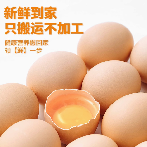 Egg Wholesale [New Store Volume] 30 Pieces of Farm-Raised Free-Range Benchay Eggs, Freshly Picked and Shipped