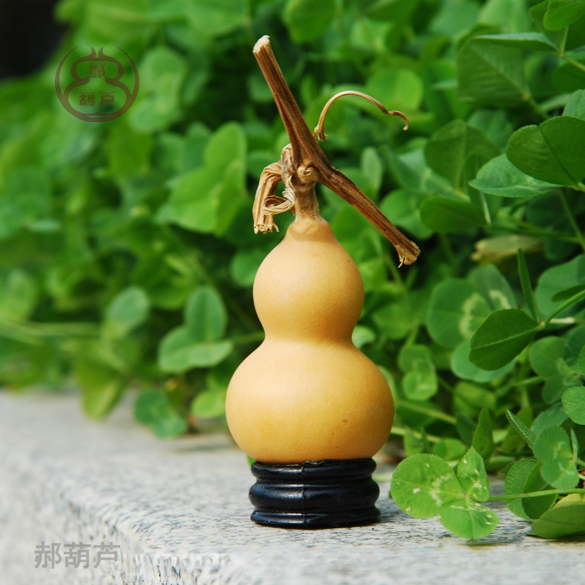 Manufacturer Wholesale Small Gourd Hand-Twisted Toys, Premium American Gourd for Cultivation, Natural Gourd for Various Specifications