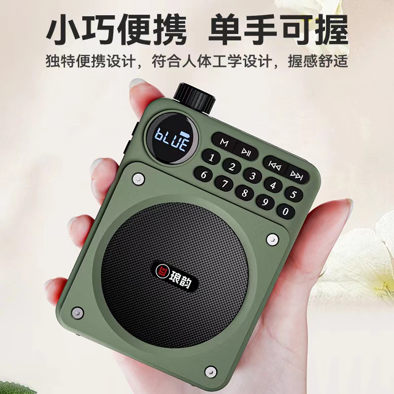 Langyun C65 Bluetooth Radio High Volume Elderly Plug-in Card Outdoor Multifunctional Portable Player Amplifier