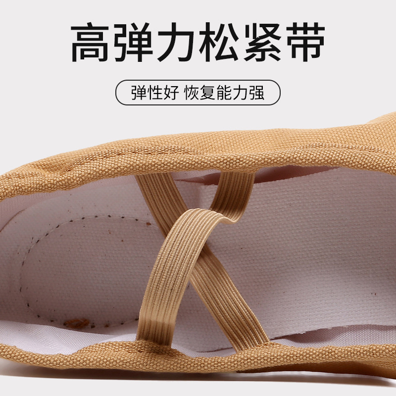 Dance Shoes Lace-up-free Women's Soft Sole Classical Children's Ballet Dancing Shoes for Girls Practice Adult Cat Claw Shoes