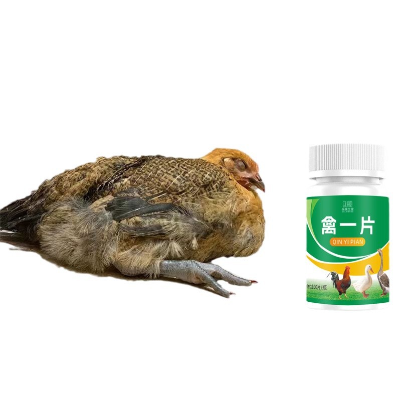 Avian First Aid Kit for Chickens, Ducks and Geese, Respiratory Tract Cold and Snoring, Special Full Treatment for Chickens in Farms