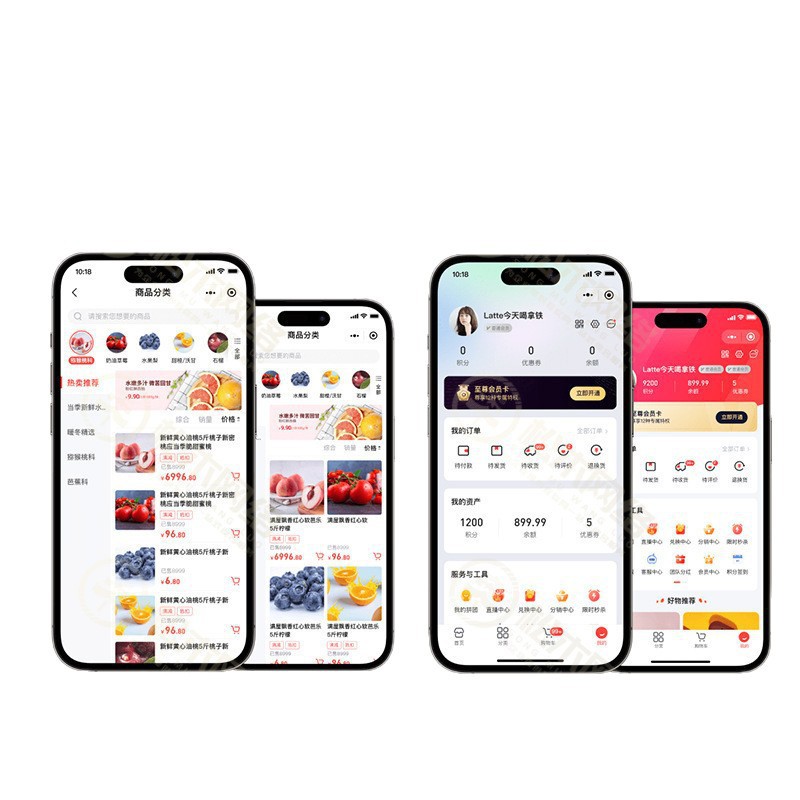 Mini Program Mall, Catering Ordering, Hotel Booking, Knowledge Payment and Other Software Development in Various Industries, Same-City Delivery