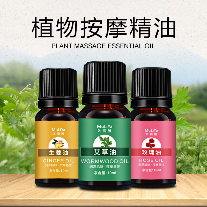 Muliya Wormwood ginger rose massage essential oil compound plant essential oil 10ml factory outlet