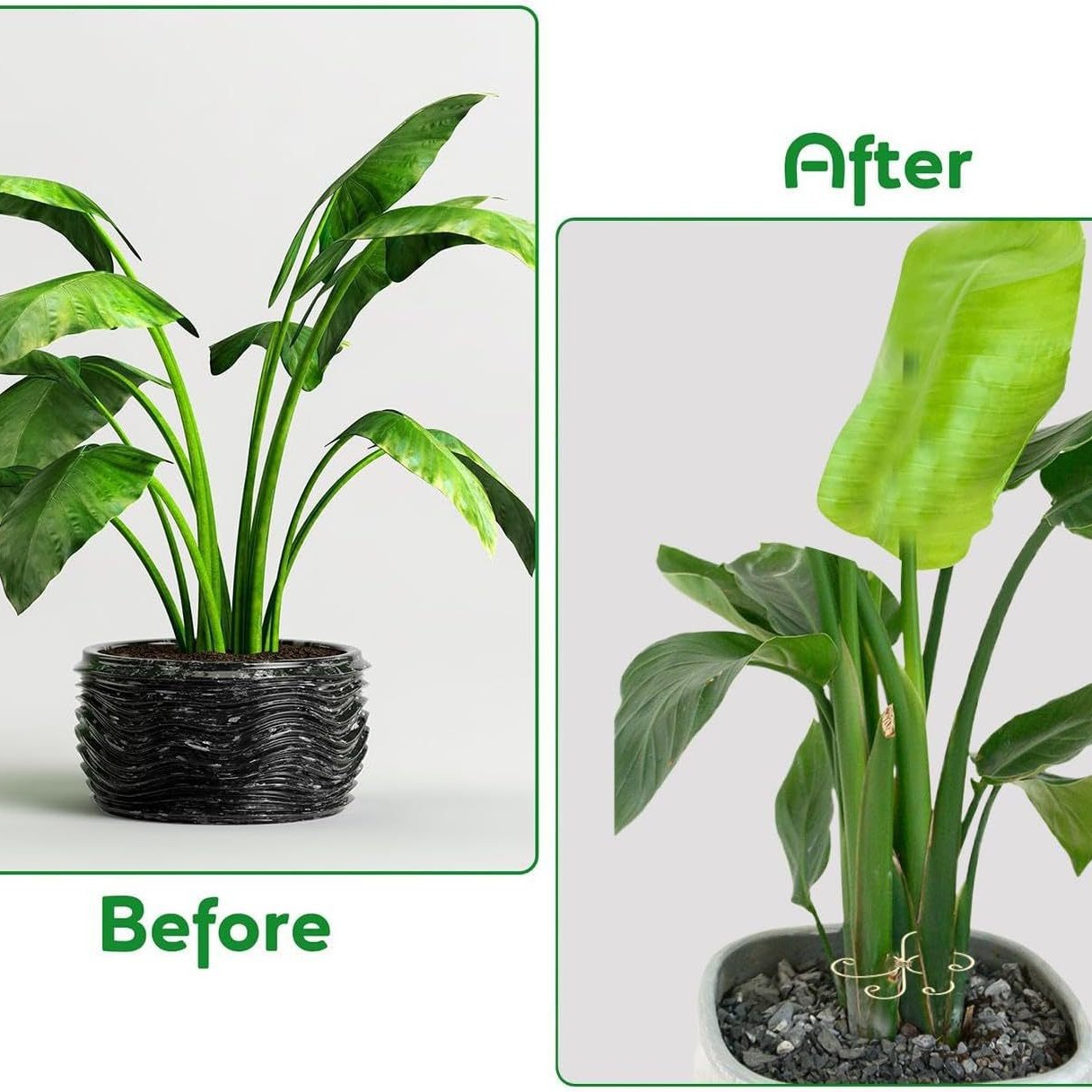 Cross-border wrought iron plant holder plant support stand flower arrangement clematis flower stand climbing stand plant support