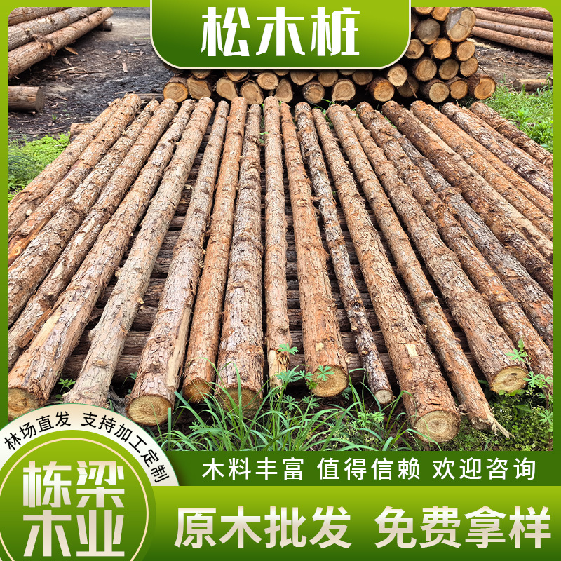 Обработка сосновых бревен, сваи из ели, сосновые сваи, укрепляющие опоры, древесина для борьбы с наводнениями, прямая продажа леса