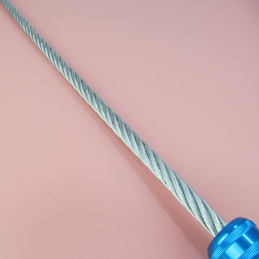 Steel Wire Whip, Tactical Whip, Self-Defense Training Dog Stick, Car-Mounted Outdoor Sports Tool, Stainless Steel Whip