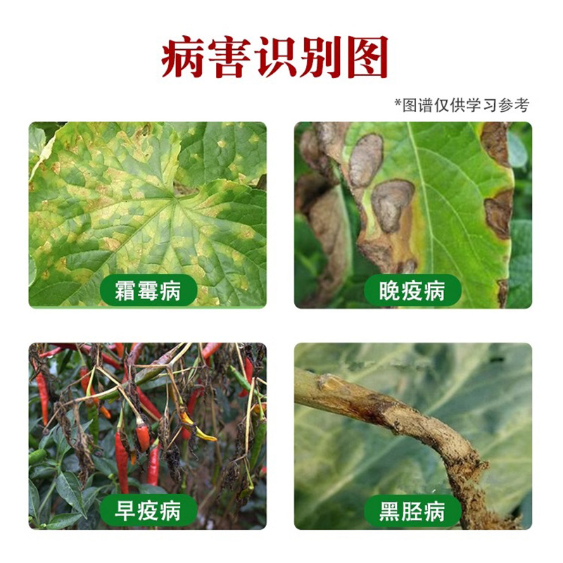 80% Enoxymorol, Grape, Cucumber, Fruit and Vegetable Downy Mildew, Tomato Potato Late Blight Pesticide Fungicide