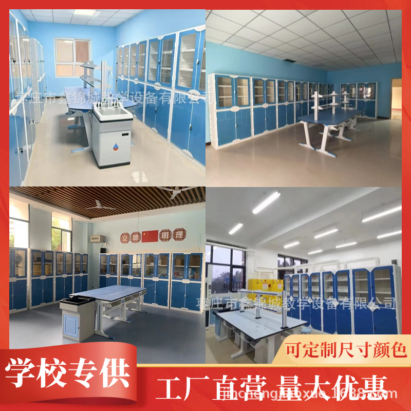 New Senior high school Cast Aluminum Laboratory Table for Primary School Science Experiment Table PP Instrument Cabinet Medicine Cabinet