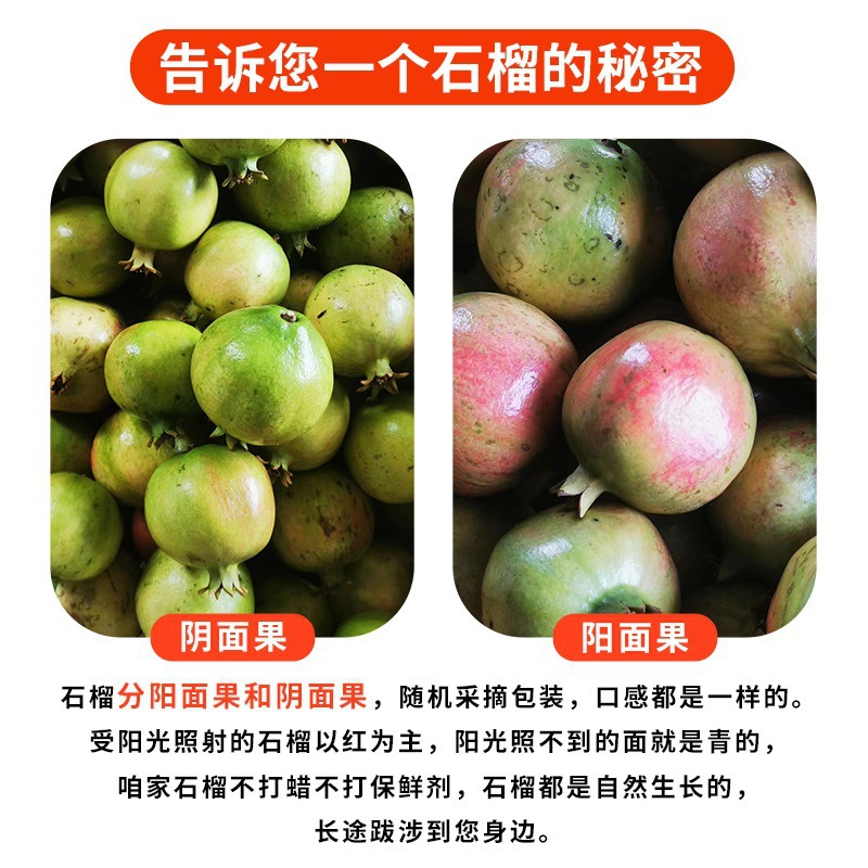 Tunisian Soft Seed Pomegranate 5kg Fresh Fruit Seasonal Sichuan Huali Ruby Seedless Pomegranate Large Fruit Whole Box