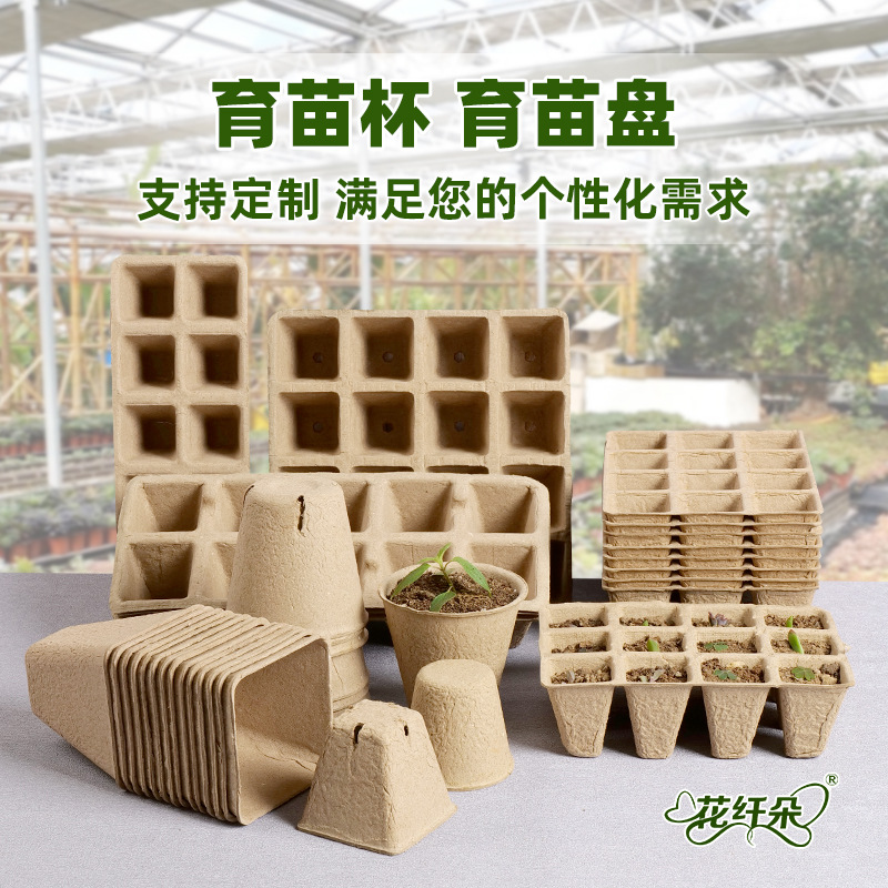 Wholesale Seedling Trays for Seedlings, Breathable Trays for Succulent Cuttings, Bean Sprouts, Phalaenopsis Orchids, Biodegradable Seedling Cups, Plug Trays