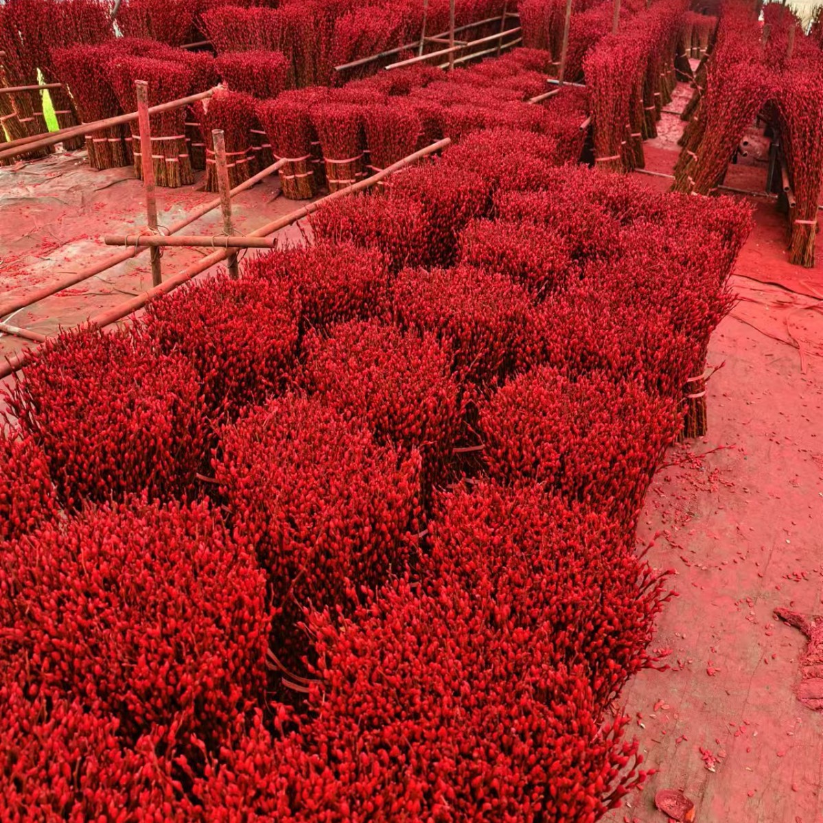 Fresh Red Willow New Year's Flower Silver Willow Multicolored Willow Real Flower Dried Flower Direct from Manufacturer 40cm Year-End Clearance Sale