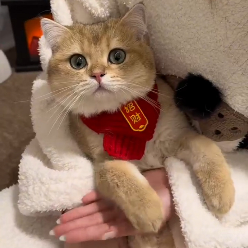 шарф для кошек и собак в китайском стиле, теплый вязаный красный шарф, креативный ручной работы