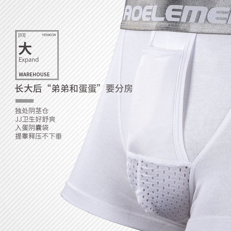 Men's Underwear Scrotum Shapes Ice Silk Antibacterial Underwear Men's Breathable Youth Bullet Separated U-Convex Shapes Boxer Underpants