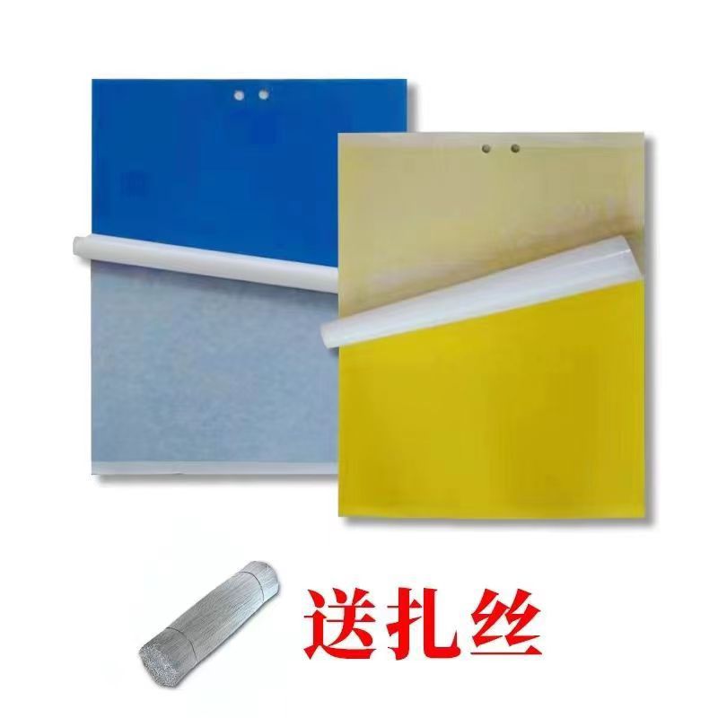 Cross-Border Amazon Insect Trap Board Manufacturer Wholesale Double-Sided Yellow Board Blue Board Greenhouse Special Insect Trap Board Strong