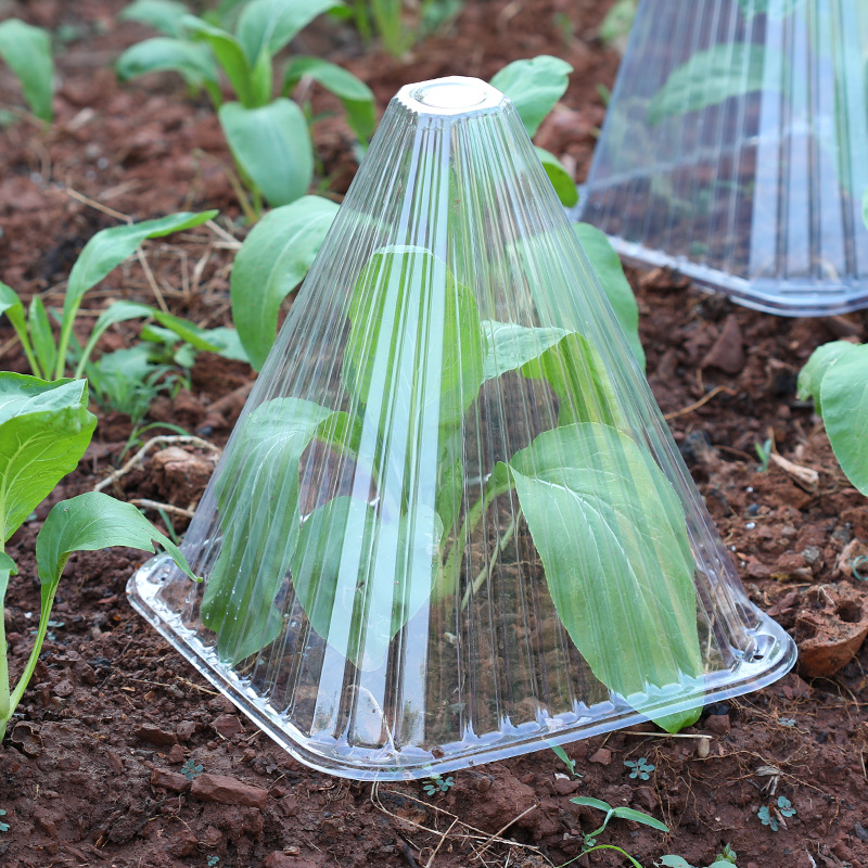 Manufacturer Wholesale Cross-Border Plant Cold Protection Cover for Melon Seedlings, Vegetable Seedlings, and Plant Protection Cover for Insect and Bird Prevention in Orchards and Gardens