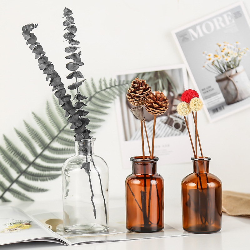 Small brown bottle reagent glass vase hydroponic flowers home decoration flower Brown transparent glass bottle