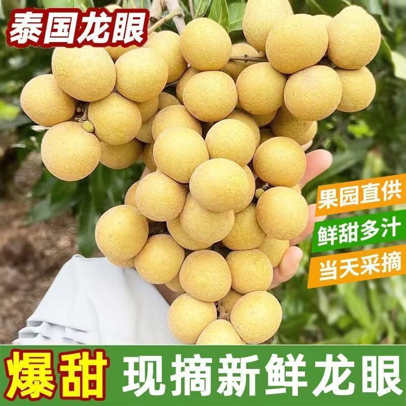 Seasonal Thai Gold Standard Longan Fresh Fruit for Pregnant Women Fresh Longan Pruning Delivery Whole Box Dropshipping
