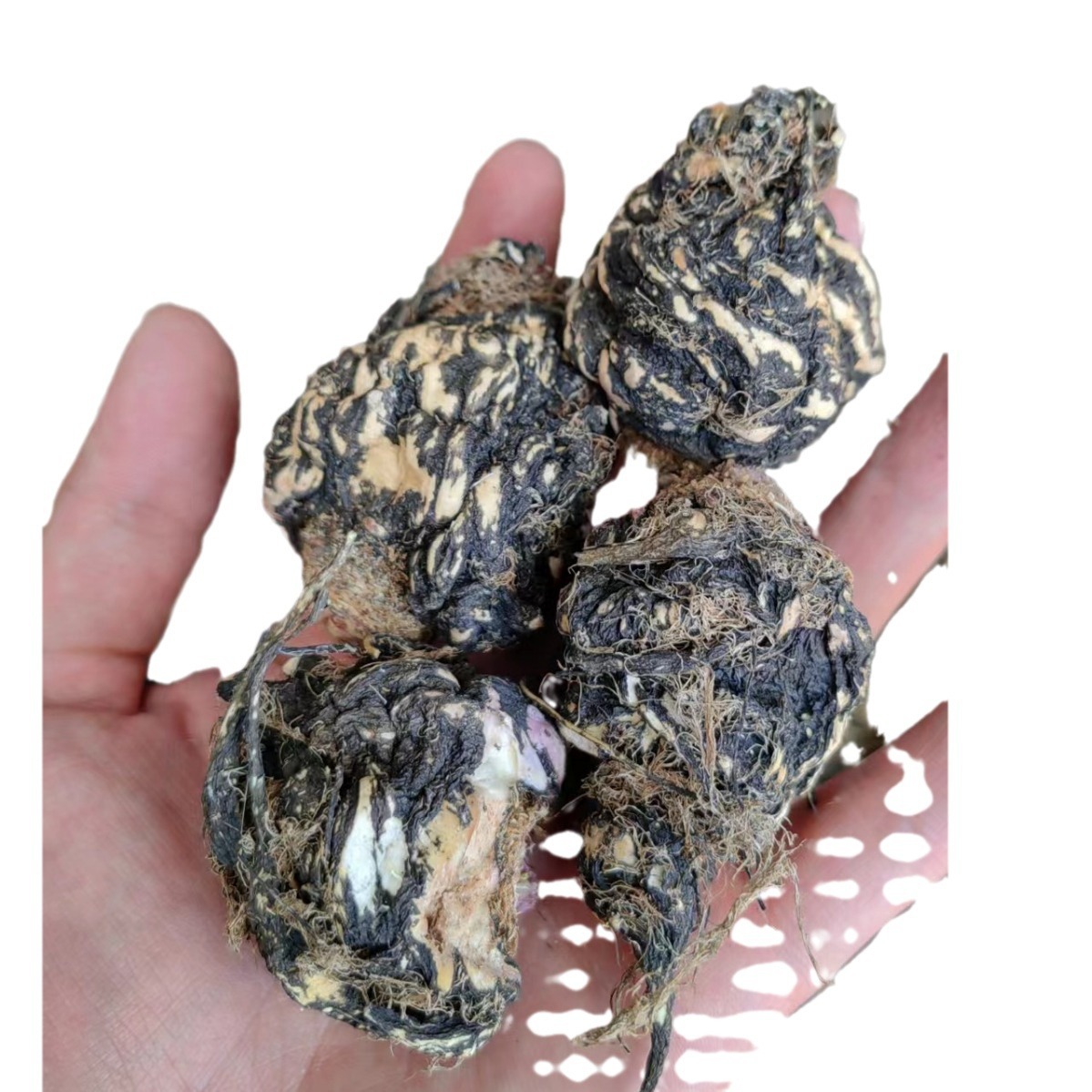 Yunnan Lijiang black maca dried fruit wholesale maca dried slices on behalf of grinding maca genuine goods origin bulk supply on behalf of hair