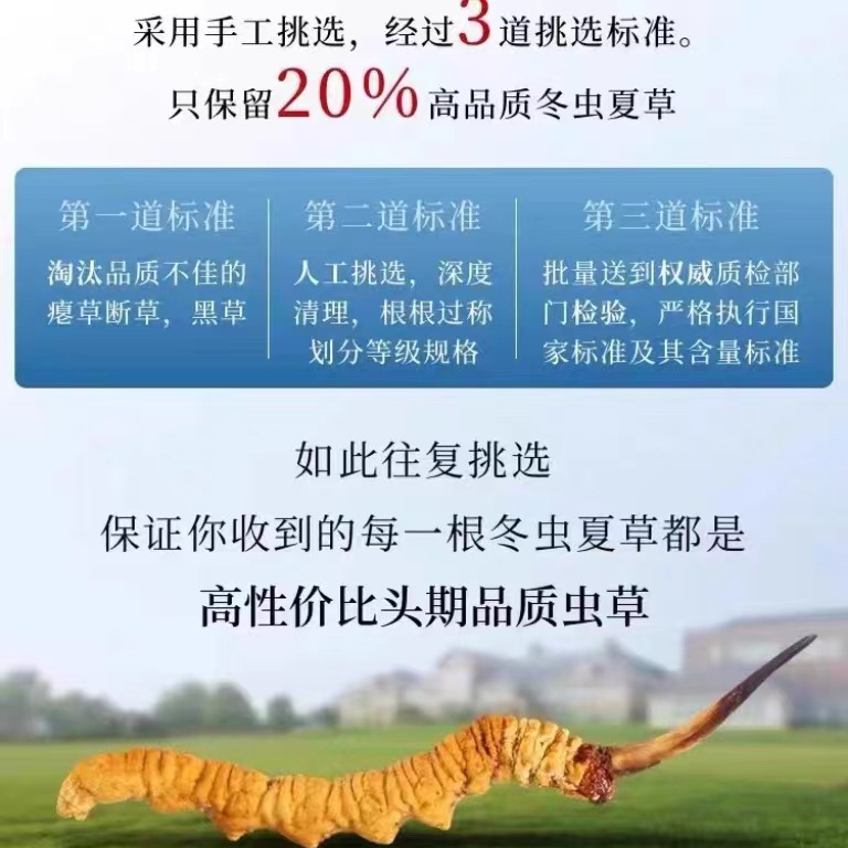 Xizang Nagqu Cordyceps Sinensis Dry Goods Cordyceps Gift Box Freeze-Dried Selected Dry Foot Gift High Nutrition