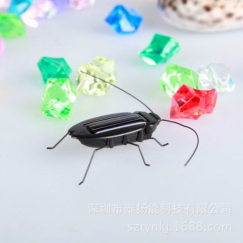 Solar Cockroach Puzzle Insect Model Animal Model Horror