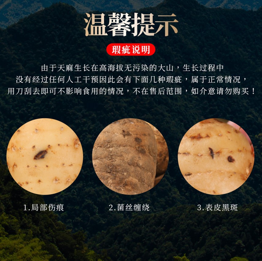 Fresh Gastrodia Elata, Freshly Dug from Xiaocao Ba in Zhaotong, Yunnan. Dried Black Gastrodia Elata Slices, Chinese Medicinal Materials, Free Shipping