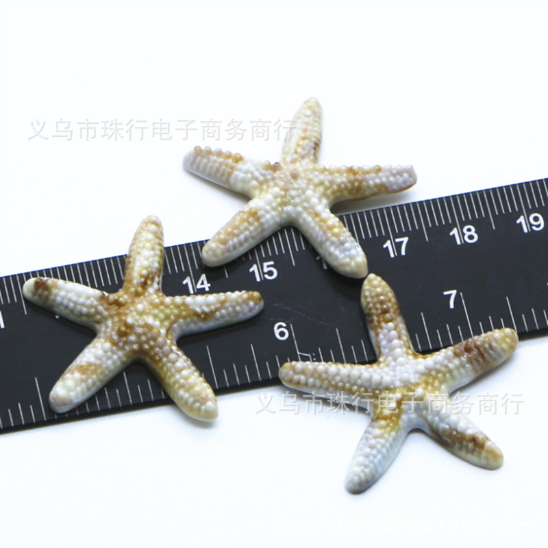 Wholesale Simulated Acrylic Simulated Starfish Mediterranean Starfish Decoration Mobile Phone Case Patch Fish Tank Decoration Ornaments