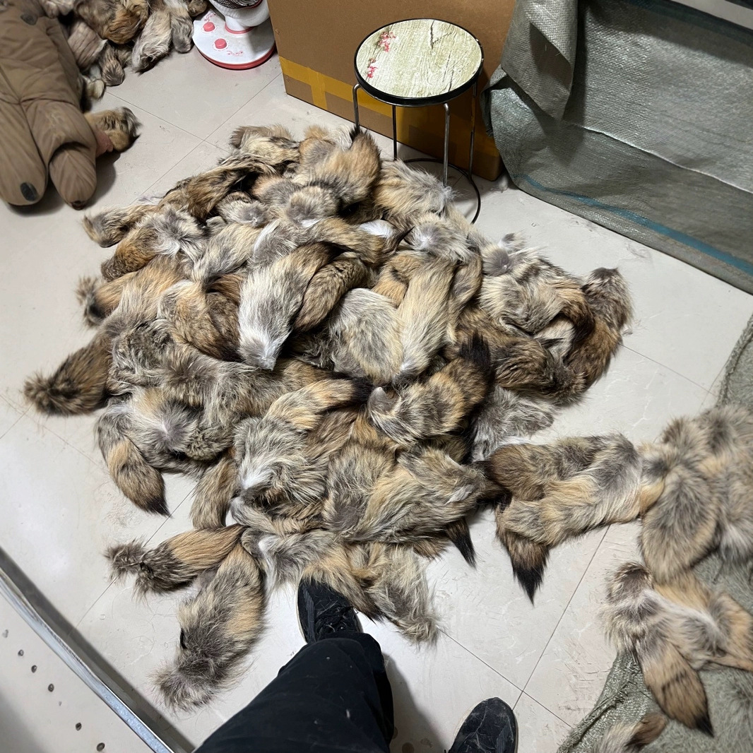 in stock Fox Tail Real Fur Natural Color Big Hair Silver Fox Tail Wolf Tail