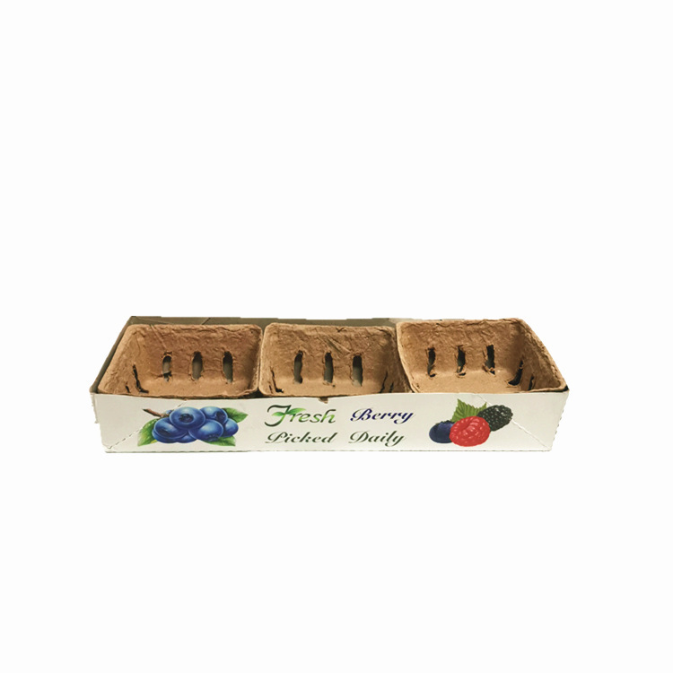 Fruit Packaging Degradable Pulp Water Plastic Fresh Blueberry Tray Pulp Packaging Box Paper Tray Fruit Degradable Box