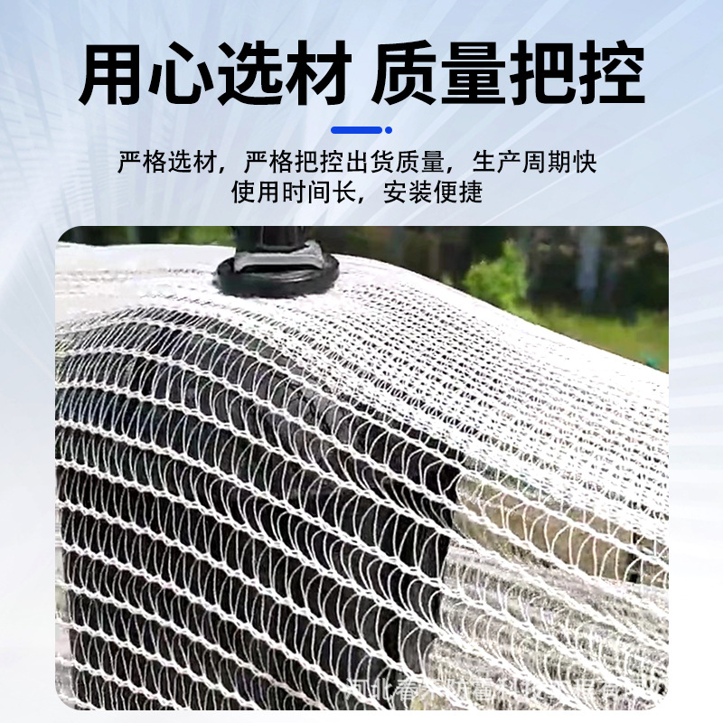 Anti-Hail Net Orchard Anti-Bird Net Grape Net Agricultural Protection Fruit Tree Brand New White Polyethylene Anti-Hail Net Artifact