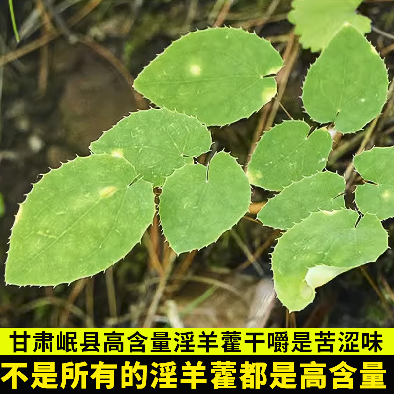Epimedium Gansu Material Small Leaf Three-Branch Nine-Leaf Grass Wild Desert Muhly Maca Cistanche Deserticola Men's Herbal Tea Good Quality Genuine Product