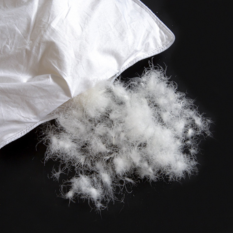 Down Quilt 95% White Goose down Winter Quilt Five-Star Hotel All-Cotton Feather Silk Quilt Thickened Warm Winter Quilt Core Manufacturer