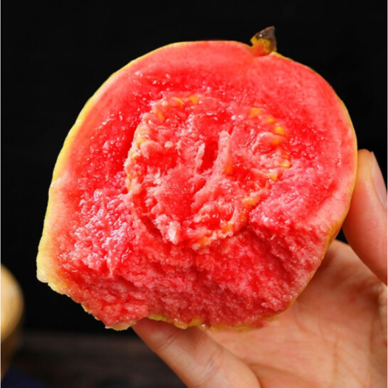 Fujian Red Heart Guava, Seasonal Fresh Fruit, Sweet and Soft, Guava Specialty from Zhangzhou, Picked Fresh
