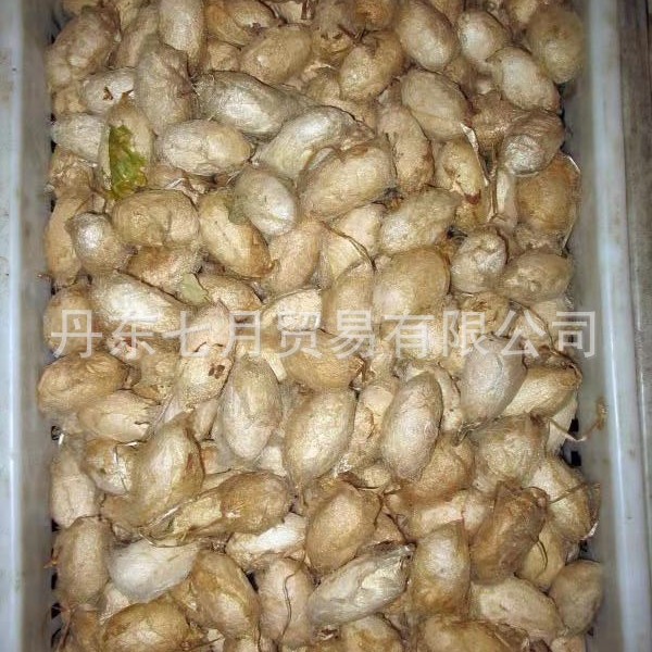 △ 【Self-Imposed Restraints】Northeastern Farmers Raise Free-Range Mulberry Tree Silkworms (Cocoon Packages) 8g Wholesale, Wild Specialty