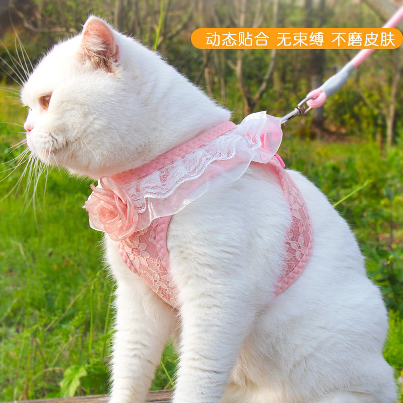 Pet Harness, Cat Leash, Dog Leash Vest, Small and Medium-Sized Puppy, Teacup Dog Walking Chain