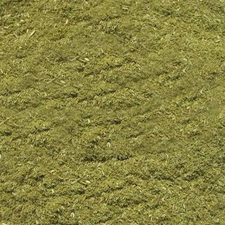 Pine Needle Powder Feed Grade Plant Fiber Feed Pine Branch Powder Cattle Sheep Horse Donkey Pig Rabbit Breeding Feed Pine Needle Powder