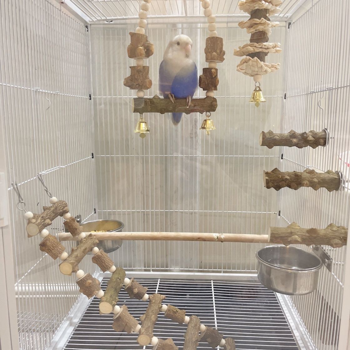 Pepperwood Hamster Parrot Toy Suspension Bridge Chinchilla Swing Hammock Climbing Small Pet Golden Hamster Hanging Play