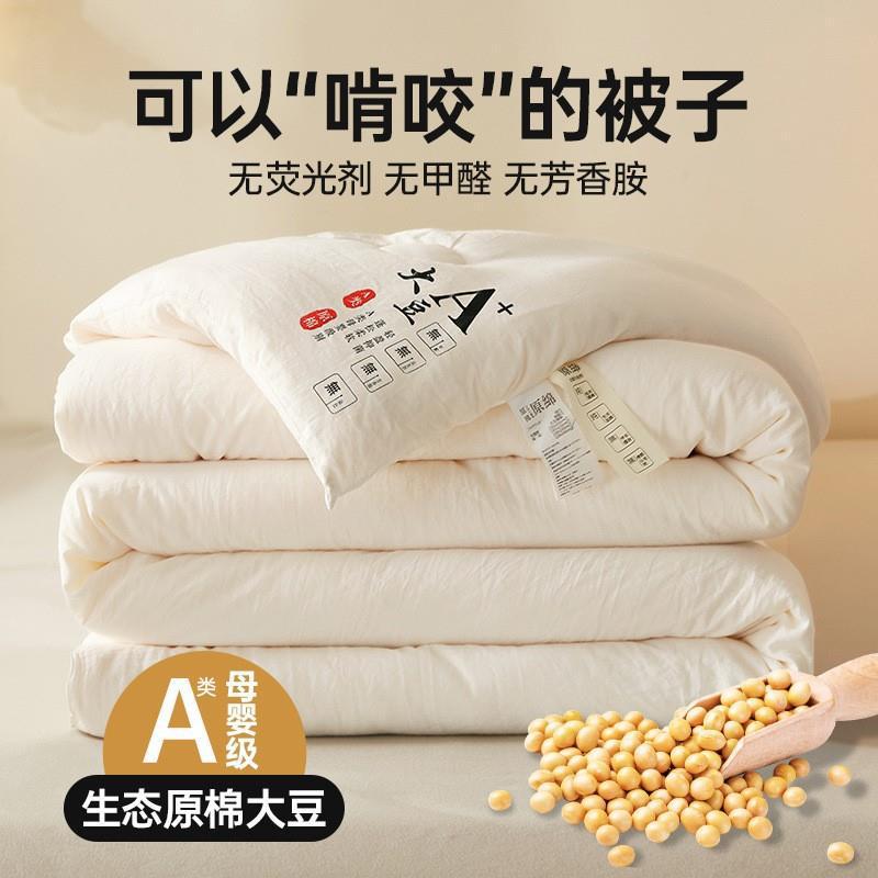 Одеяло из сырого хлопка класса A, утолщенное, весеннее и осеннее, летнее одеяло, соевое волокно, зимнее одеяло, односпальное одеяло для общежитий