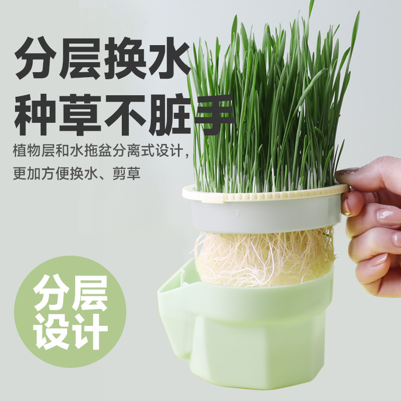 Sensen Cat Grass Potted Soilless Hydroponic Hair Lazy Self-Sown Cat Grass Kitten Cat Snacks Supplies Ready-To-Eat Cat Grass