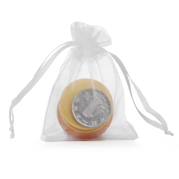 Fruit Bagging, Insect-Proof and Bird-Proof Nylon Special Mesh Bag, Grape, Peach, Pomegranate, Strawberry, Fig, Universal Mesh Bag