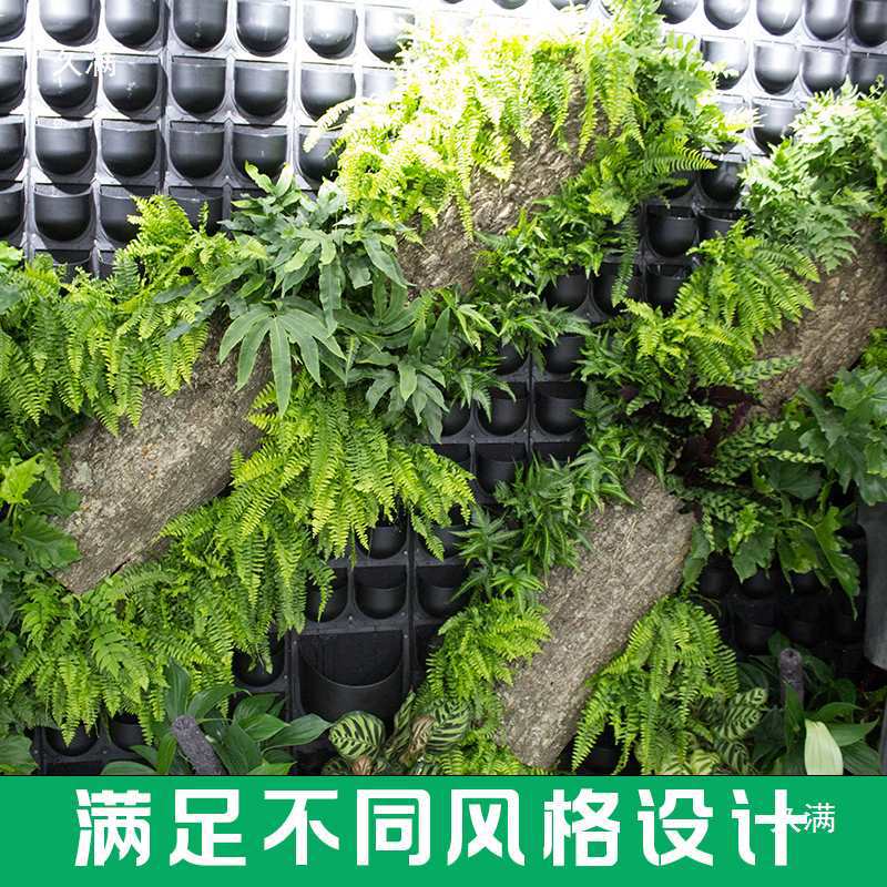 Real Flower Plant Indoor Three-Dimensional Balcony Perforated Board Green Plant Wall Flower Background Board Wall Landscaping Door Decoration