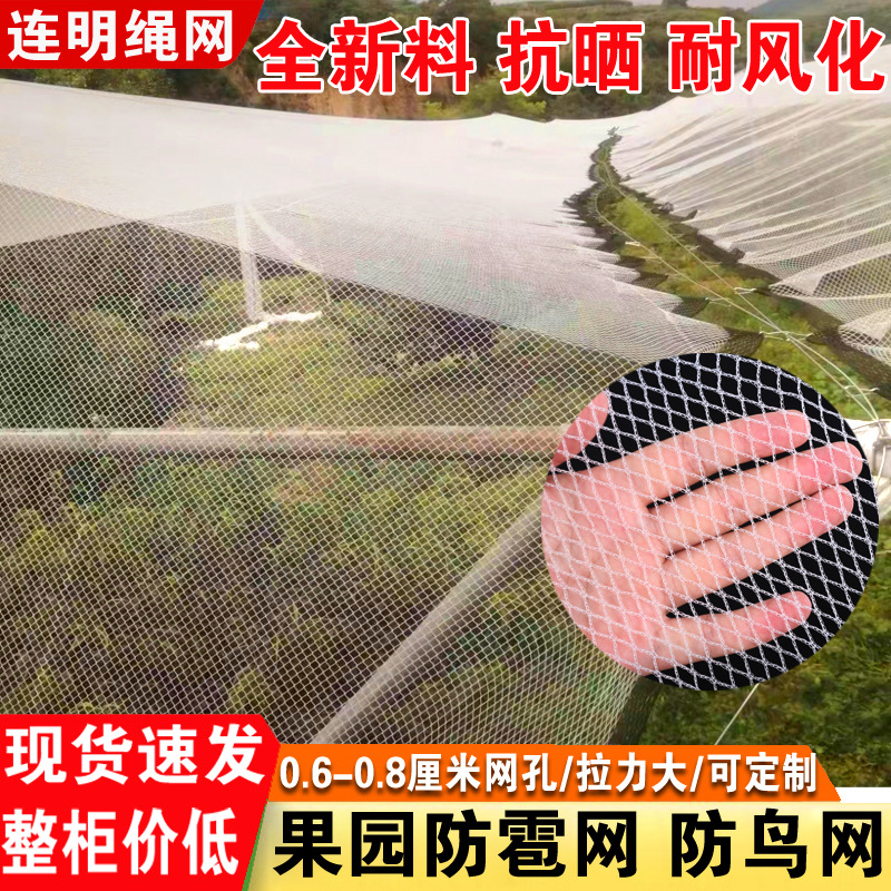 Противоградовая сетка, защитная сетка для сада, сетка от птиц для фруктовых деревьев, прочная, прямая от производителя, для уличного использования