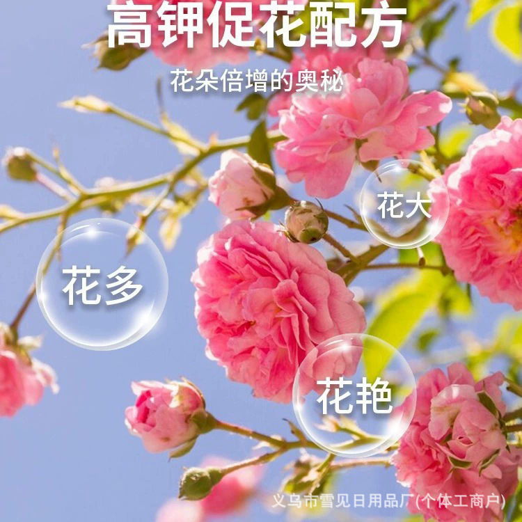 Fast pollen triangle plum camellia jasmine potted universal peanut root promotion gardening home wholesale