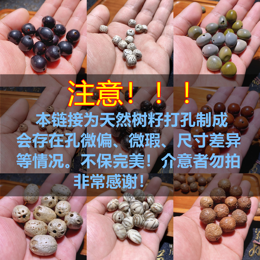 Natural Bodhi Loose Beads DIY Eighteen Seed Accessories with Beads Dragon and Phoenix Eye Vajra Seed Seeds Punched Manufacturer Wholesale