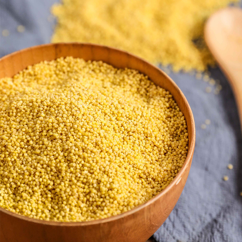 Golden Millet Gift Box for Financial Institutions, Banks, and Insurance Companies, Year of the Horse Opening Promotion Gift, Promotional Gift, Souvenir Gift