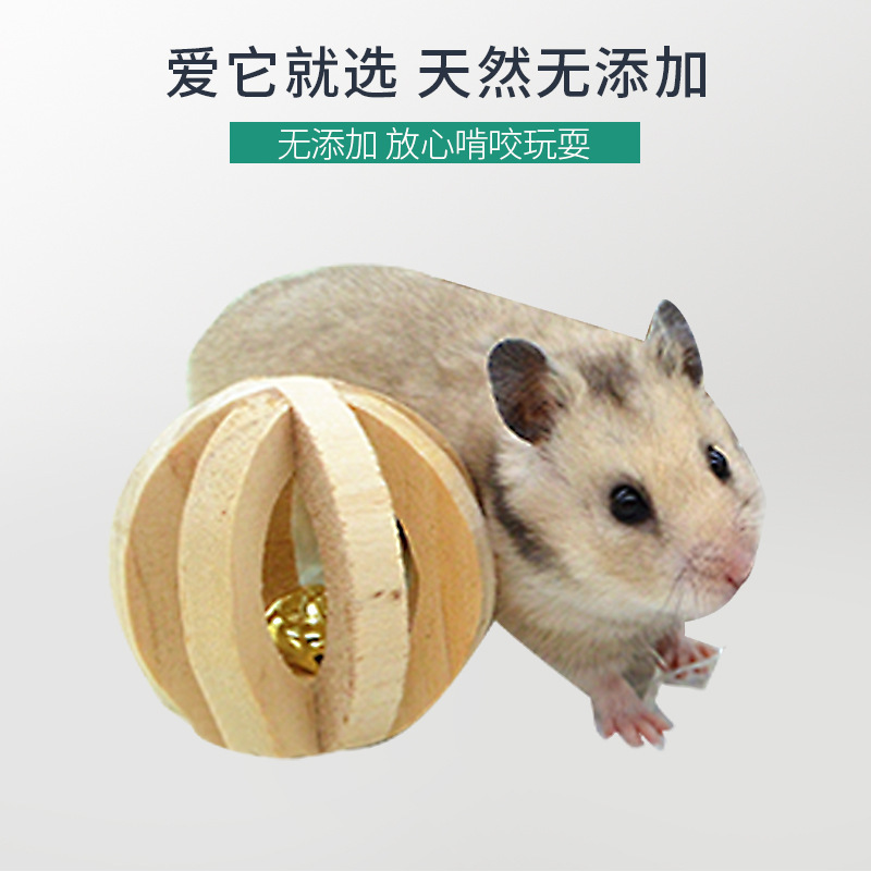 Spot random matching cross-border explosions hamster molar supplies combination pet supplies set support generation hair